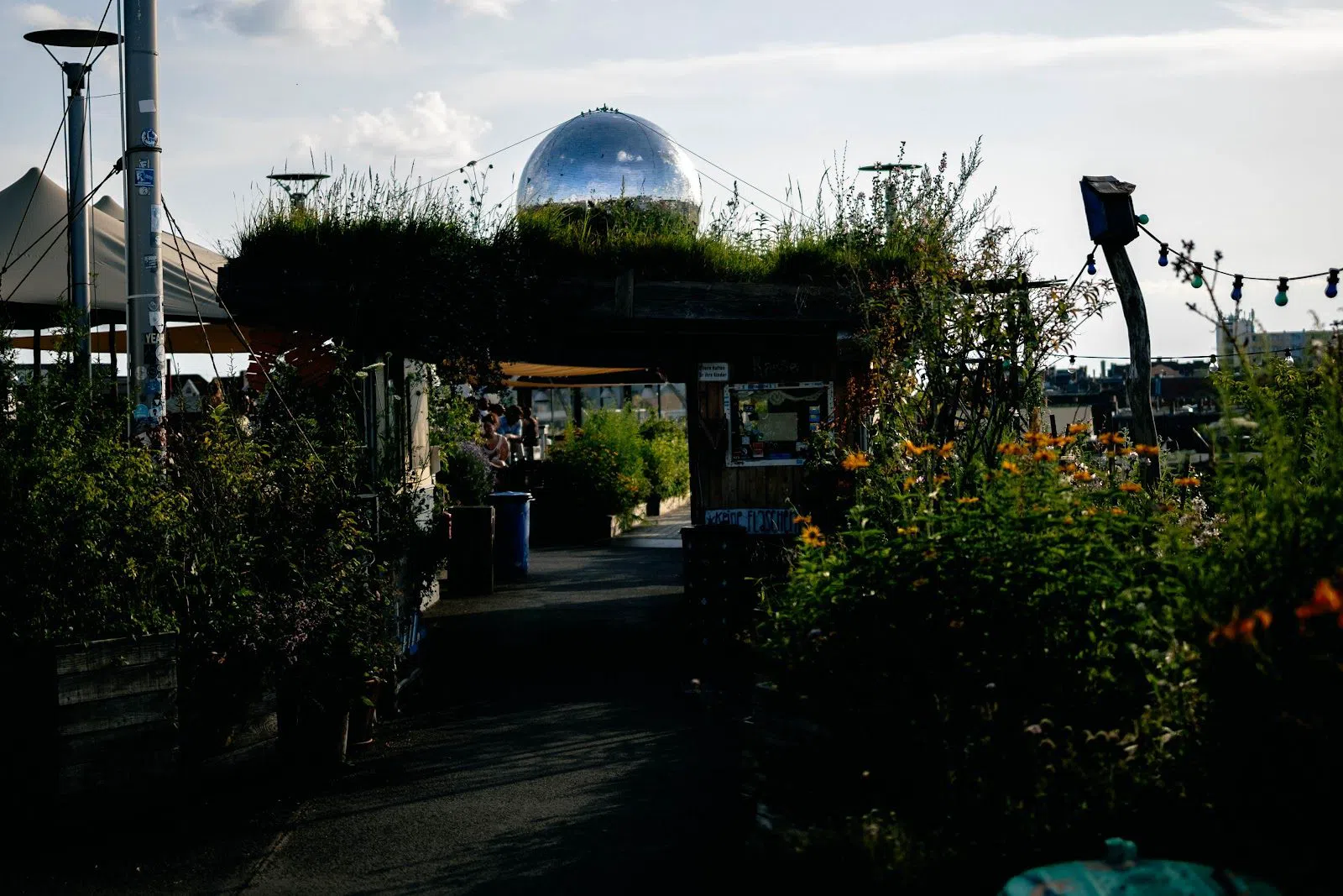 Klunkerkranich, Berlin